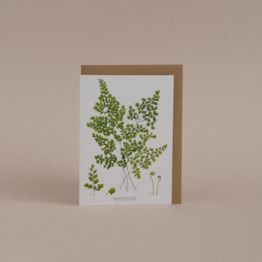 Fern Greetings Card