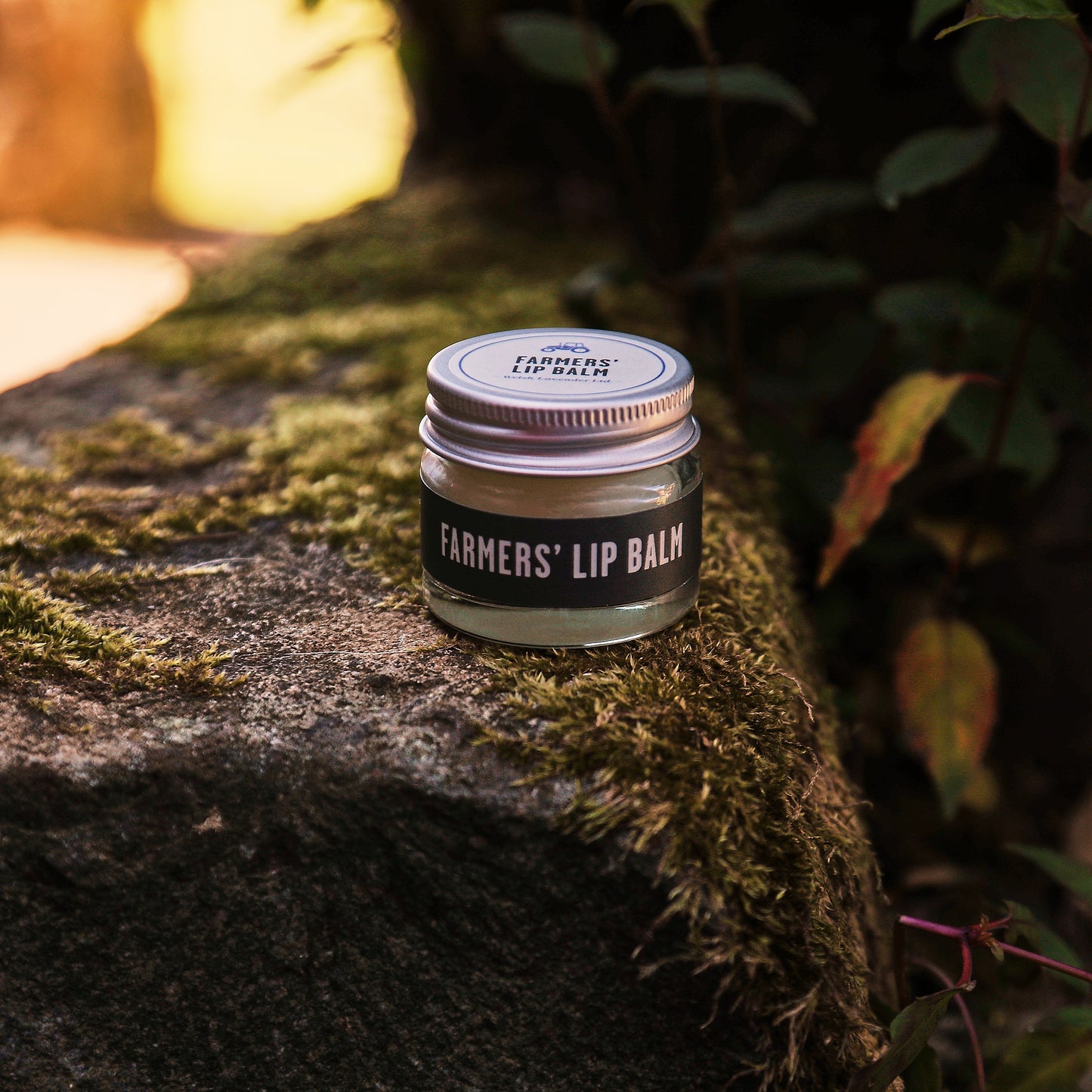 Lavender lip balm wales