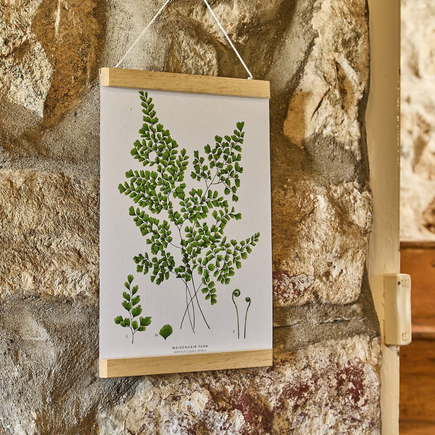 Magnetic_Poster_Frame with art print