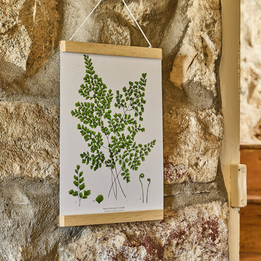 Magnetic_Poster_Frame with art print