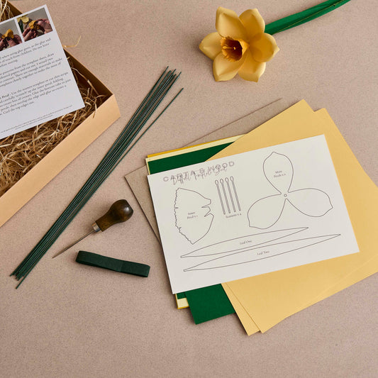 Paper flower craft kits