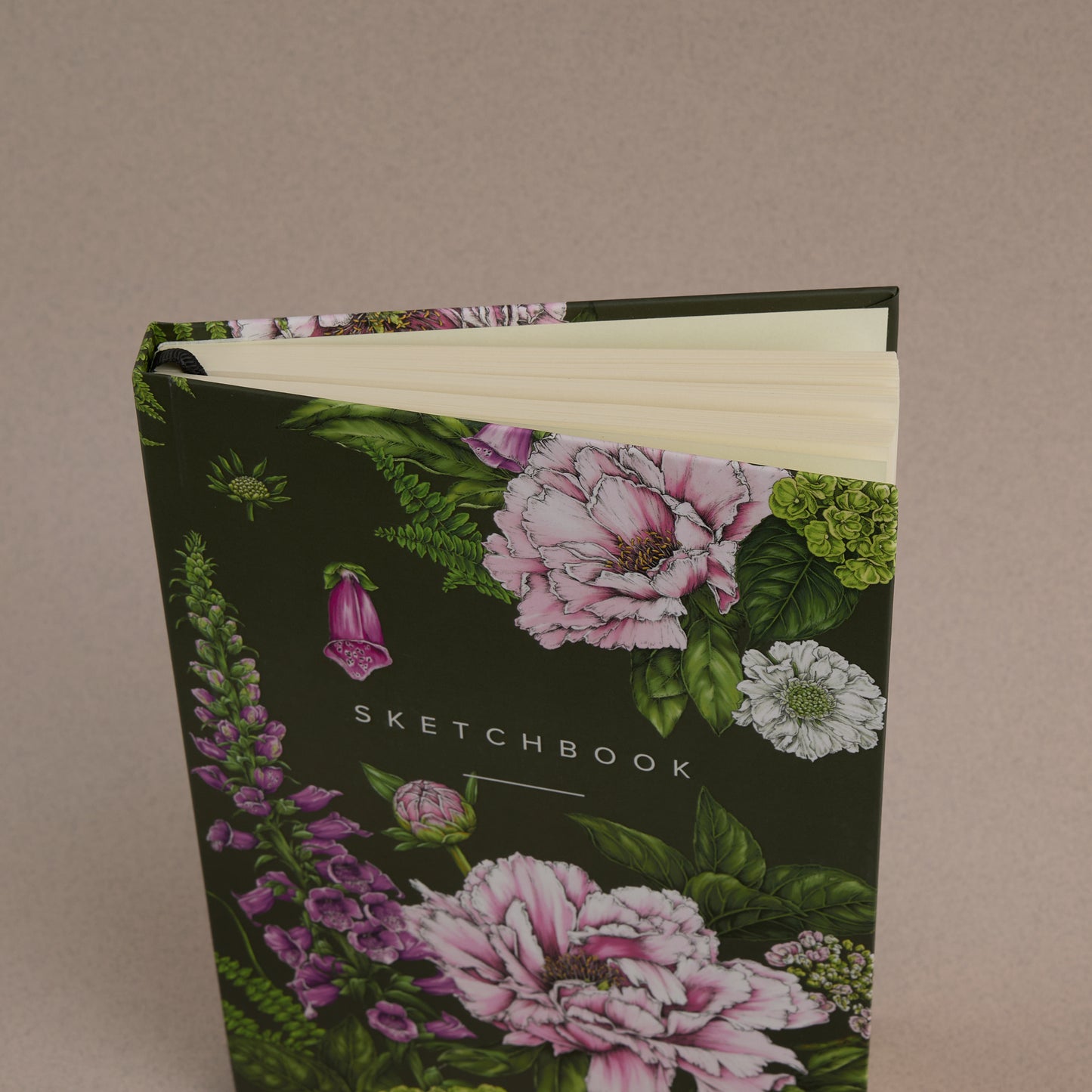 catherine lewis sketchbook