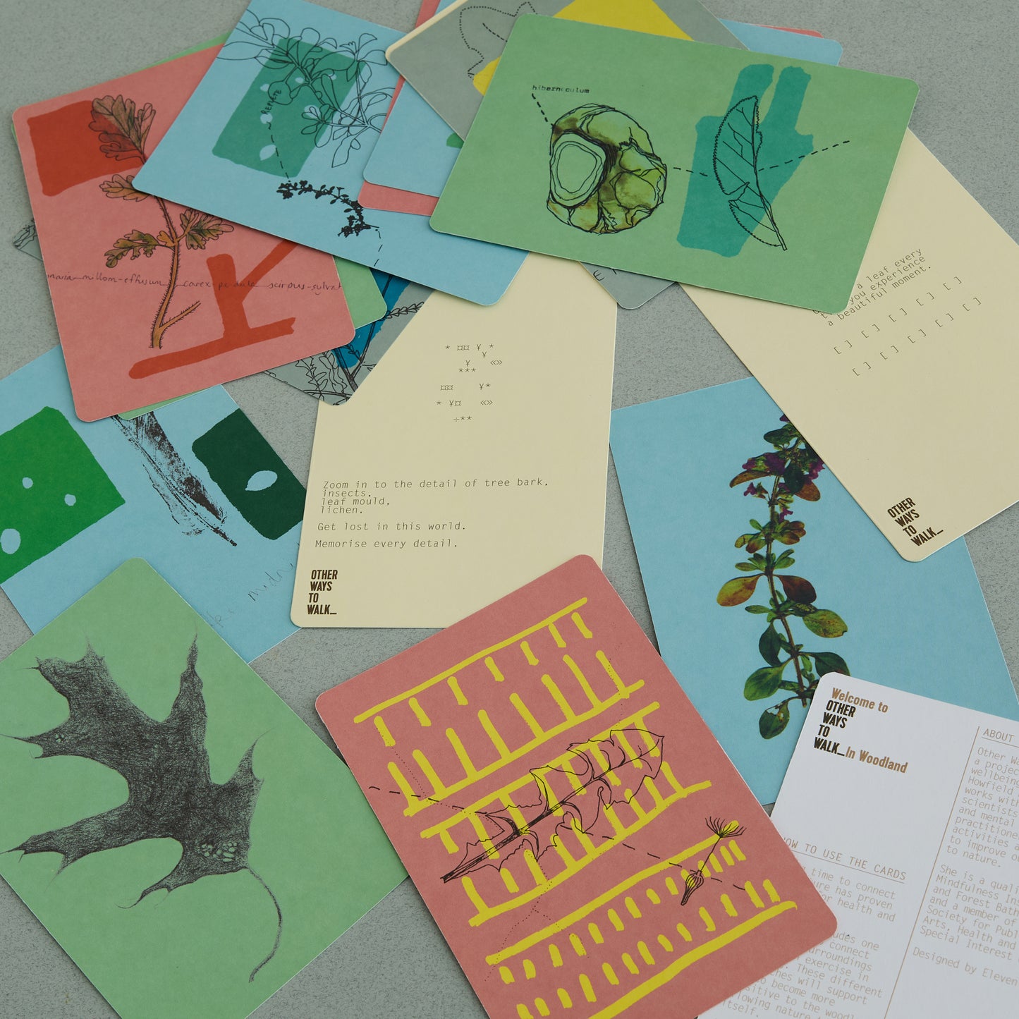 woodland walking prompt card