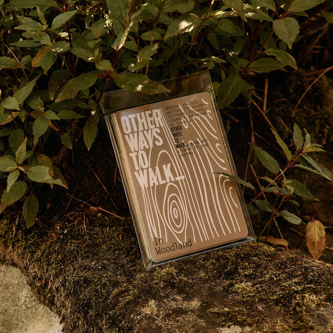 Hwyl; A State of Being