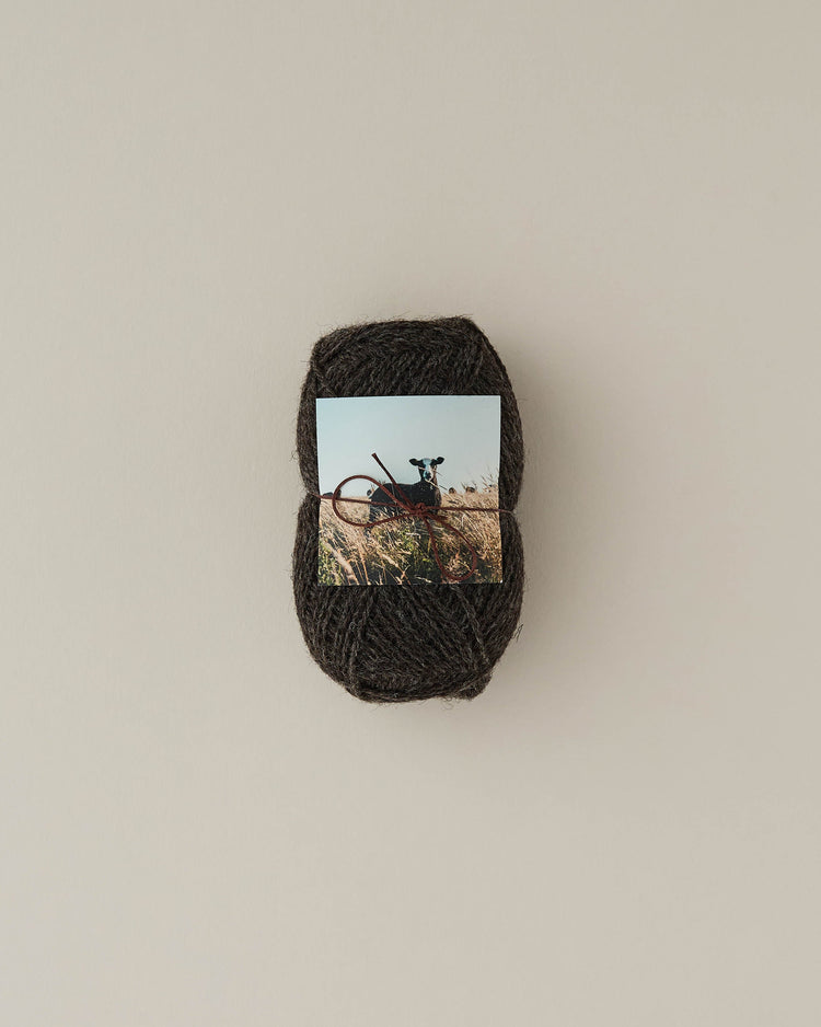 Welsh Wool Collection