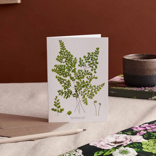 Celebration Card Fern 