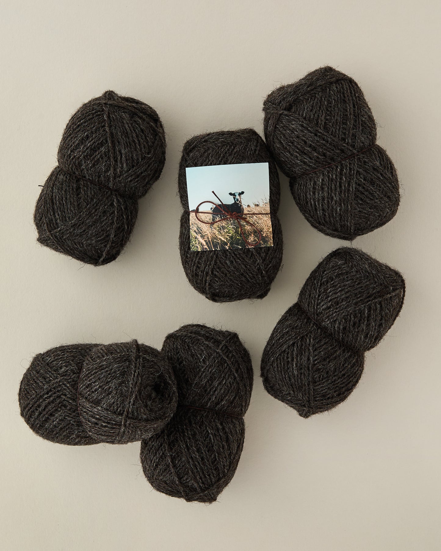 Knitting Yarn - Coloured Dorset