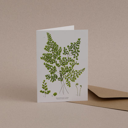Fern Greetings Card 