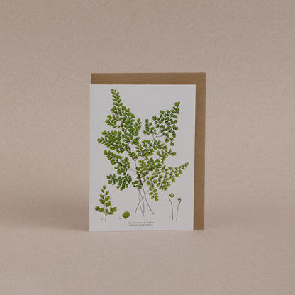 Fern Greetings Card 