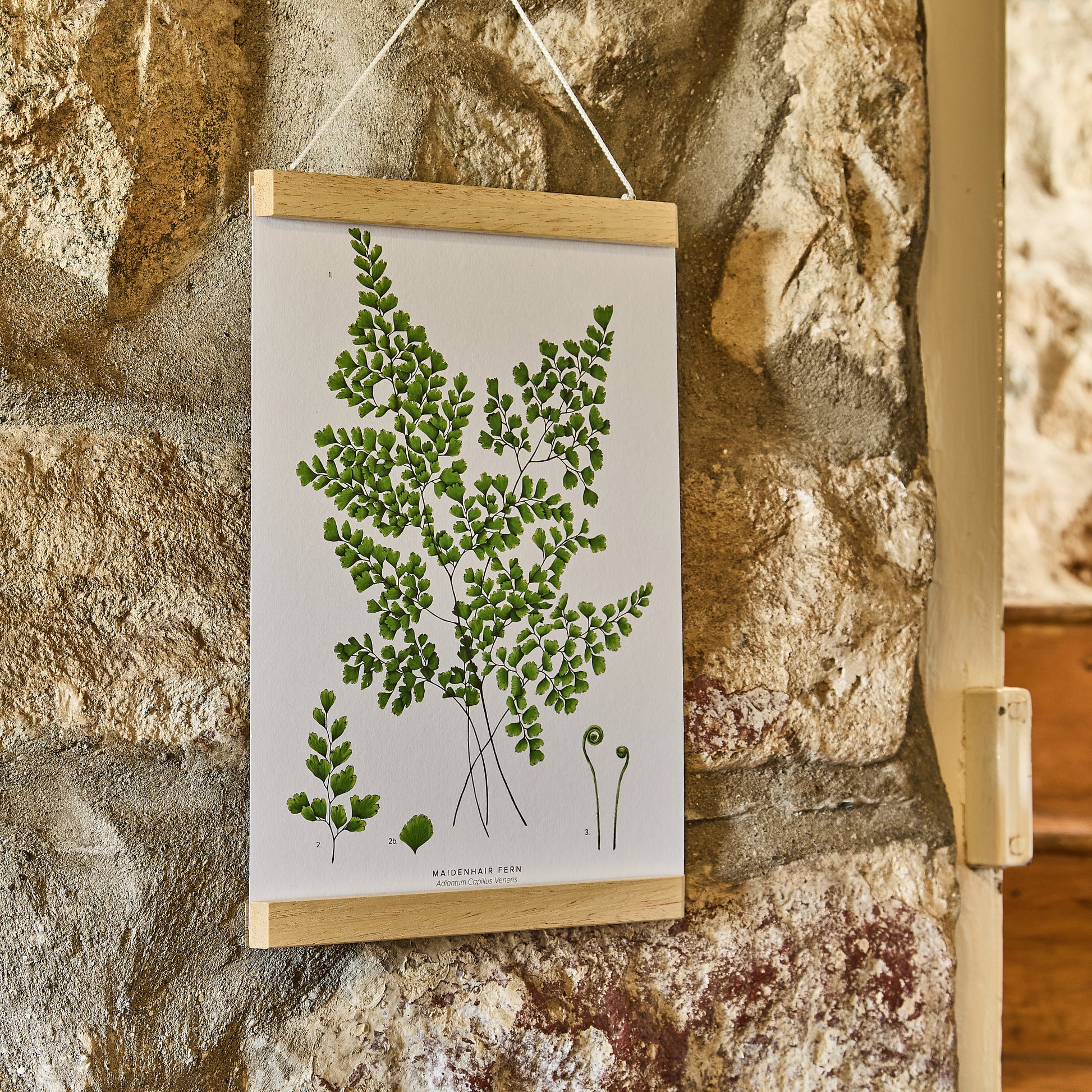 Magnetic_Poster_Frame with art print