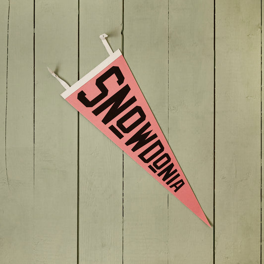Snowdonia Pennant Flag 