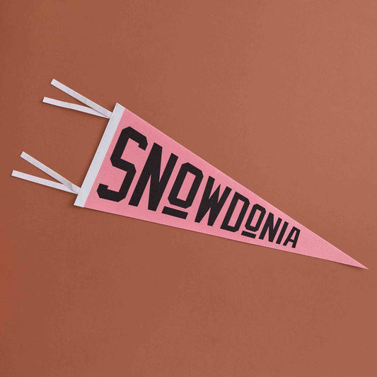 Snowdonia Pennant Flag 