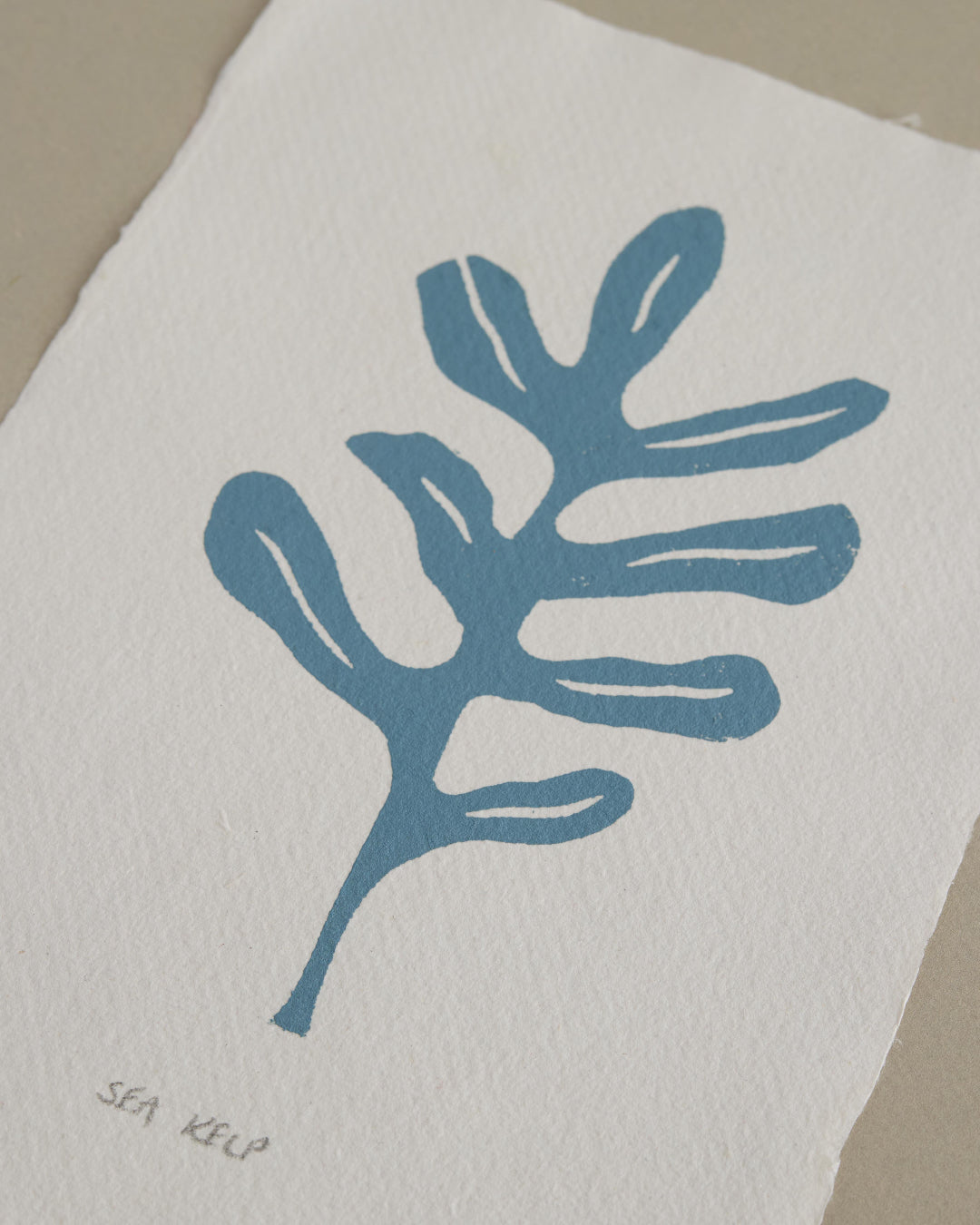 Blue seaweed design on a white paper towel with 'sea kelp' text.