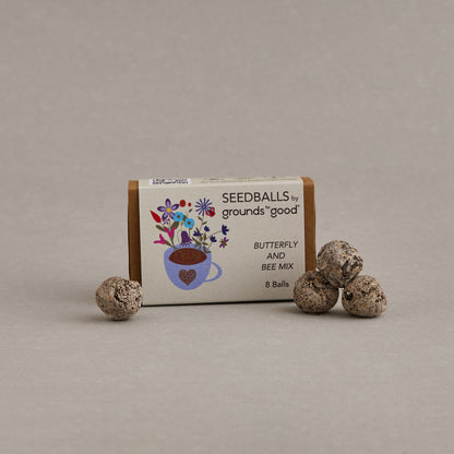 seed balls in matchbox 
